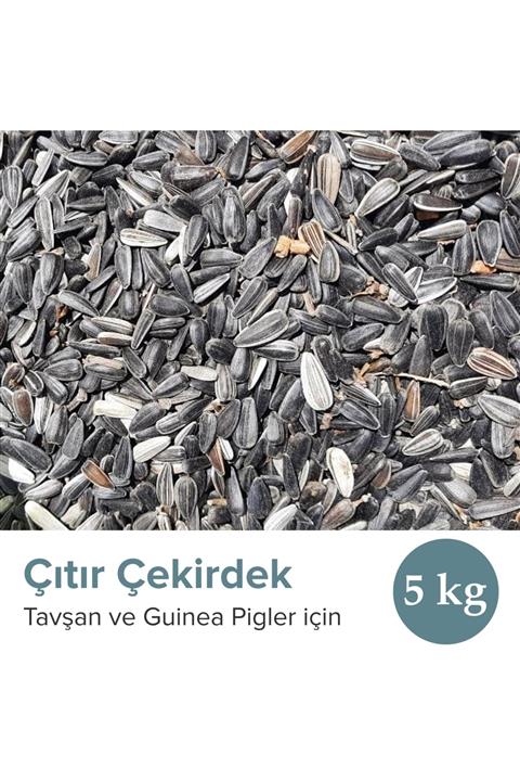 Vixpet Tavşan Ve Guinea Pig Çıtır Çekirdek 5 Kg