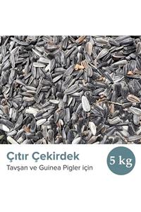 Vixpet Tavşan Ve Guinea Pig Çıtır Çekirdek 5 Kg