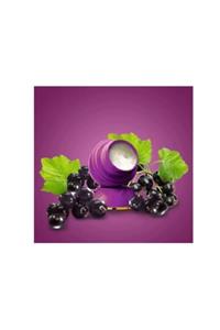 Oriflame Tender Care Siyah Frenk Üzümü Aromalı Koruyucu Balm