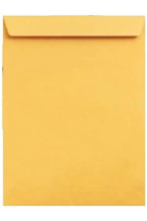ASİL DOĞAN Torba Zarf 24*32 100 Gram  250 Adet