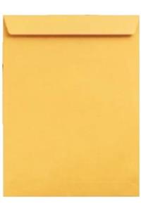 ASİL DOĞAN Torba Zarf 24*32 100 Gram  250 Adet
