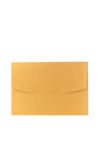 Ege 16x23 cm Metalik Altın 250 gr Lüks Davetiye Zarfı - 50 Adet