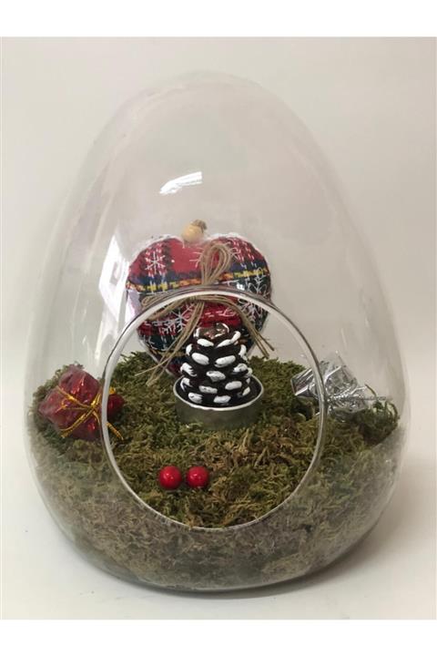 MinikKuş Tasarım Hediye Sepetim Teraryum