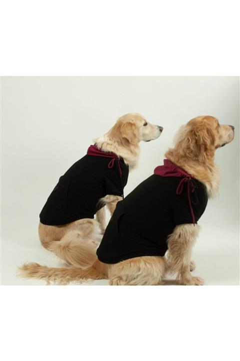 Zegypet Büyük Irk Siyah Basic Hoodie Kapüşonlu Köpek Sweatshirt