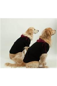 Zegypet Büyük Irk Siyah Basic Hoodie Kapüşonlu Köpek Sweatshirt