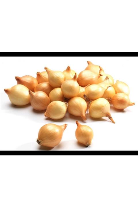 EKİM TARIM Soğan Arpacık Yuvarlak Minik Organik Üretim 500gr Paketli Ürün