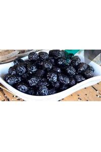 alan zeytincilik Kuru Sele Zeytin (1 Kg)