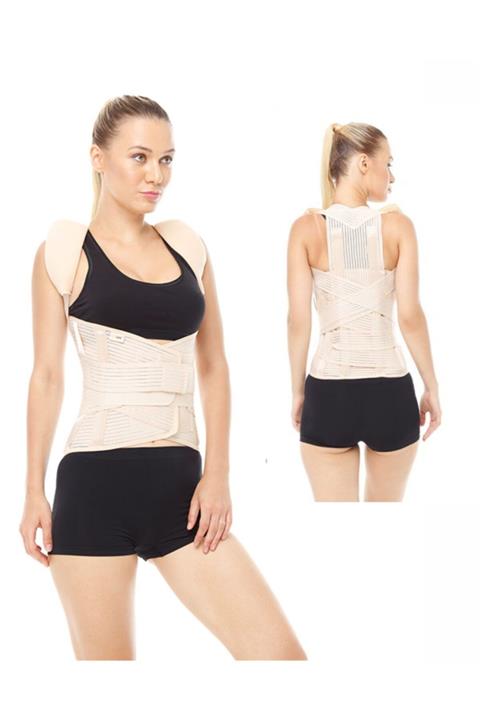 ORLEX Standart Dorselomber Korse