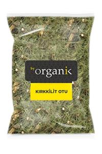 BY ORGANİK Kırkkilit Otu (at Kuyruğu) 1kg