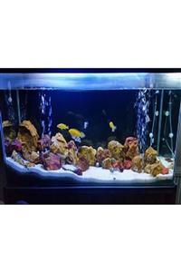 Aqualed Led Aydınlatma Armatür Mavi & Beyaz 70 Cm