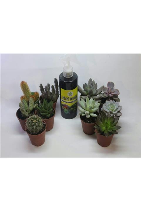 NEVEL GÜBRE Kaktüs Sukulent ve Bitki Besin Paketi 5+5+1
