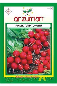 GüçlüTedarik Fındık Turp Tohumu 2000 Tohum 25 Gram