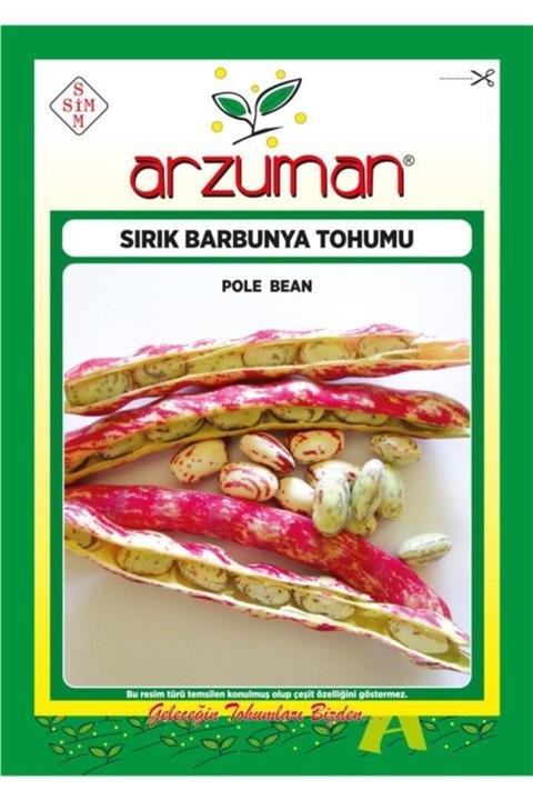 GüçlüTedarik Sırık Barbunya Tohumu 100 Tohum 50 Gram
