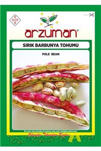 GüçlüTedarik Sırık Barbunya Tohumu 100 Tohum 50 Gram