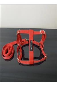 Leash Shop -kırmızı- Köpek Göğüs Bel Tasma Takımı Xxl Beden (75-85 Cm)