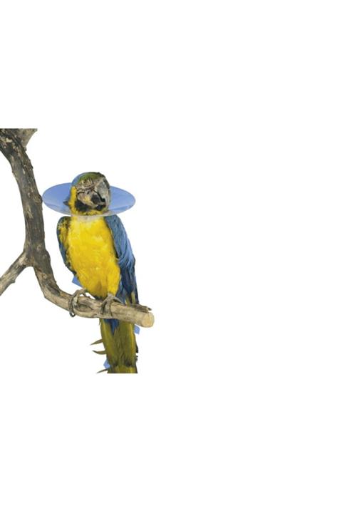 Kruuse Buster Kuş Yakalık Seti ( 15 Ad )