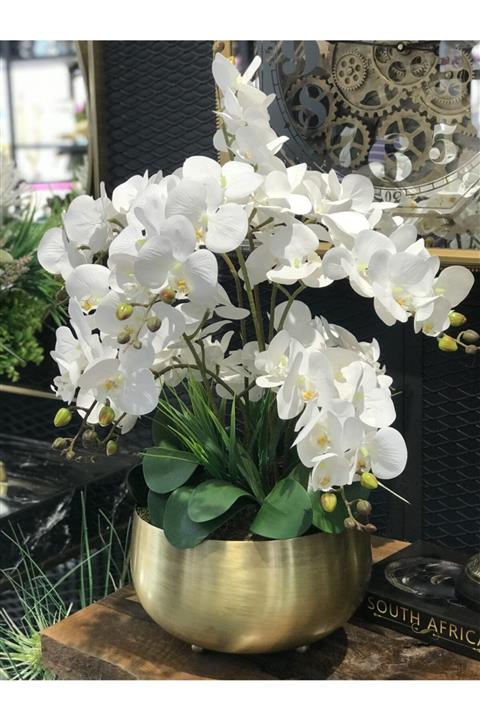 TASARIMHMODA Islak Orkide Çiçekli Vazo