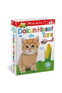 Circle Toys Dokun Hisset Tanı Eğitim Kartları