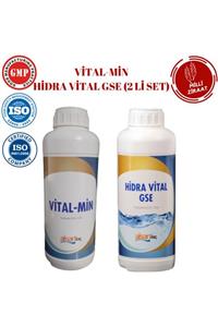 ALŞAN VİTALMİN & HİDRA VİTAL GSE (2 LİTRE SET)