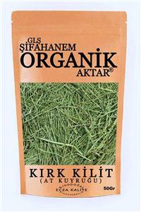 GLŞ ŞİFAHANEM ORGANİK AKTAR Kırk Kilit Otu ( At Kuyruğu ) Çayı 50 gr