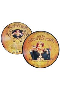 Gereksiz Şeyler Müzeyyen Senar Divamız Picture Disc Plak