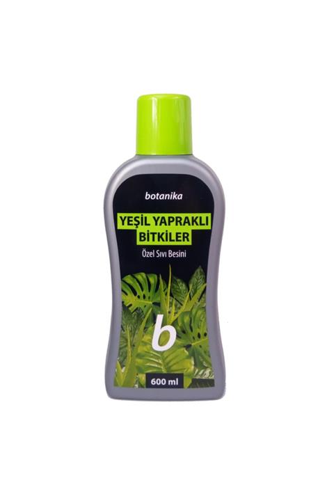 KUTUKUTUCİCEK Yeşil Yapraklı Bitkiler Için Besin