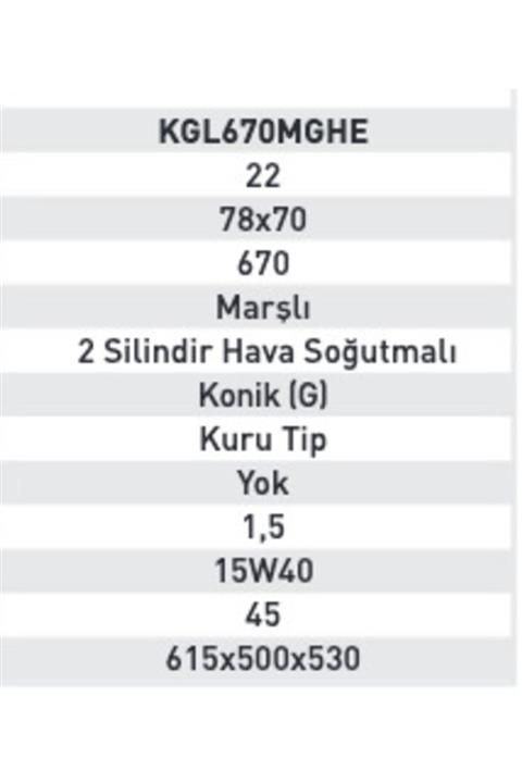 Kama By Reis Kgl670mghe Benzinli Motor (22 Hp) Marşlı