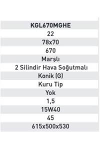 Kama By Reis Kgl670mghe Benzinli Motor (22 Hp) Marşlı