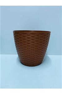 seazde Kamelya Rattan 24cm Saksı 7 Litre