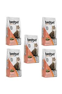 Bestpet Sterilised Somonlu Kısır Kedi Maması 1 kg * 5 Adet