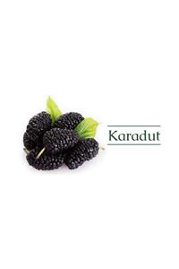 ORGANİKORMAN Karadut 1 kg