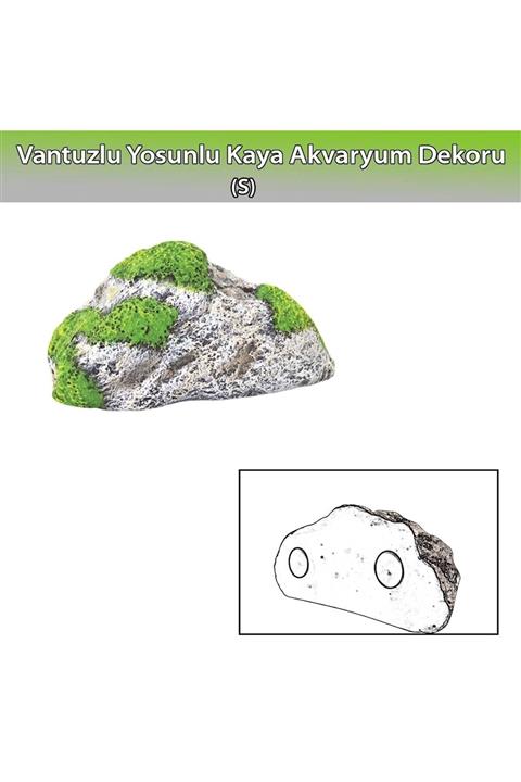 Dophin Yosunlu Kaya Akvaryum Dekoru S