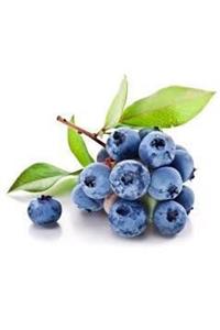 Tohumcumm 20 Adet Tohum Yaban Mersini Tohumu Blueberry Tohumu