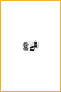 AAVDAN Alternator Gergı Rulmanı (opel: Movano 1.9dtı 8v 01 06 / Renault: Duster 2.0 16v 12 Laguna Master Tr