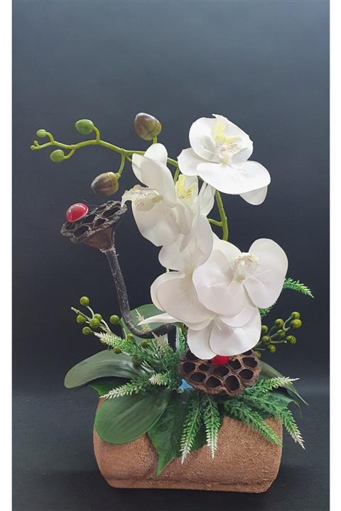 maraş çiçek Beyaz Orkide