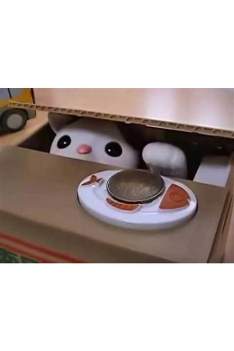 Aysmev Hırsız Kedi Kumbara