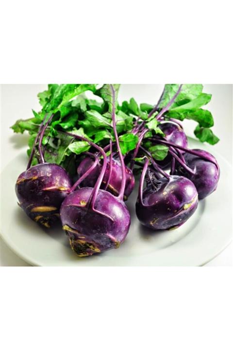 GARDENYA TOHUMCULUK Alabaş Mor Turp - 50 Adet