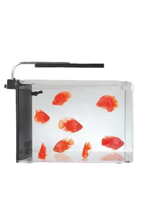 Resun Aquasyncro Clarity Nano Akvaryum 36x24x25