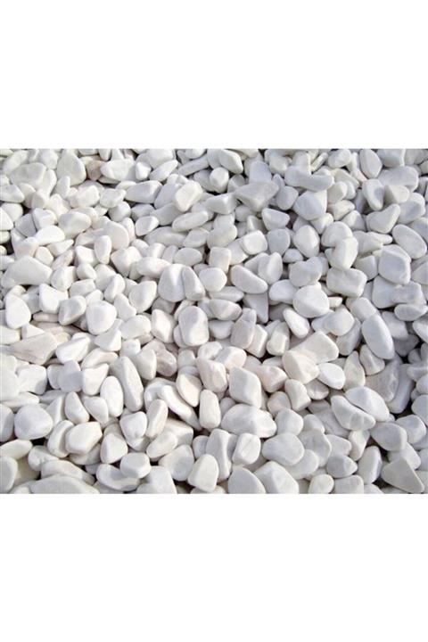 Kanki Pet Akvaryum Dolamit Taşı 10 Kg