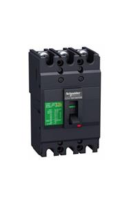 Schneider Electric Schneider Ezc250h3160 160a Kompakt Şalter