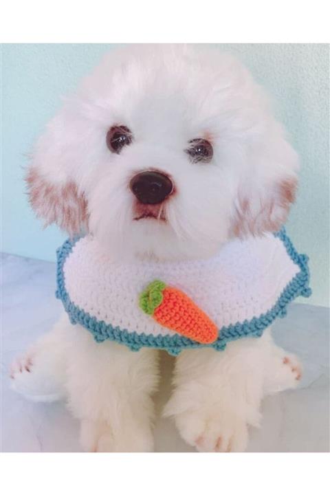 BurDen Dekoratif Ürünler & Tasarım Tatlı & Sevimli Havuçlu Önlük Köpek Boyun Aksesuarı , Petshop,evcil Hayvan