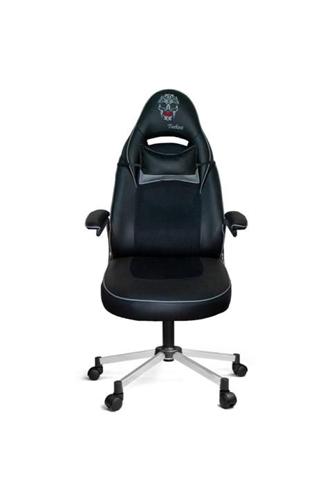 Türksit Pit Stop Kuru Kafa Oyuncu Koltuğu Gri