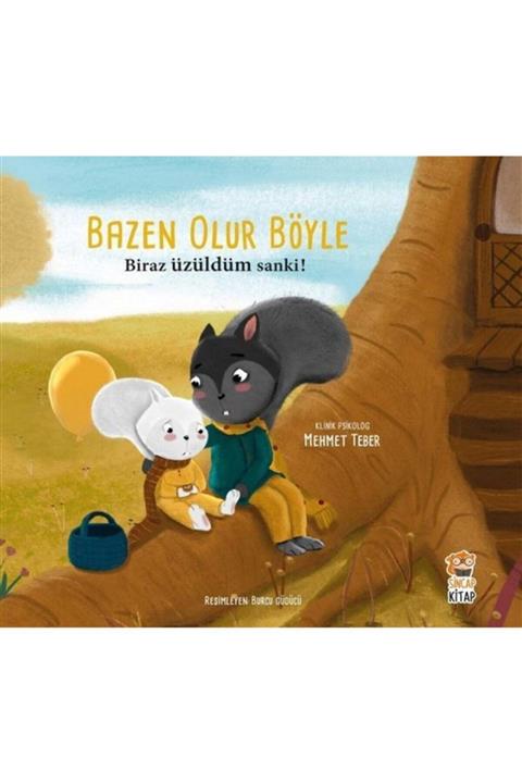 Sincap Kitap Bazen Olur Böyle Biraz Üzüldüm Sanki