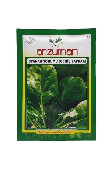 GüçlüTedarik Ispanak Tohumu 25 G 2250 Tohum