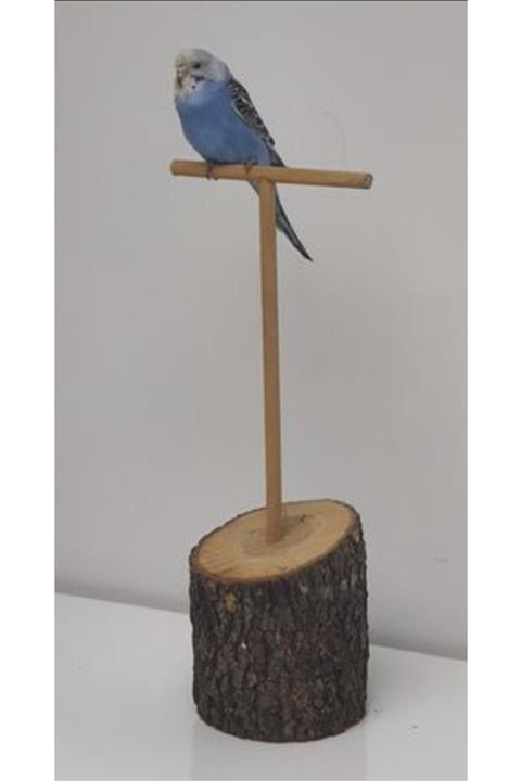 BAYATA Kuş Tüneği