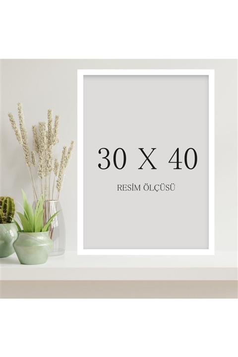 tablosetleri Beyaz Renkli 30x40cm 1 Adet Boş Çerçeve