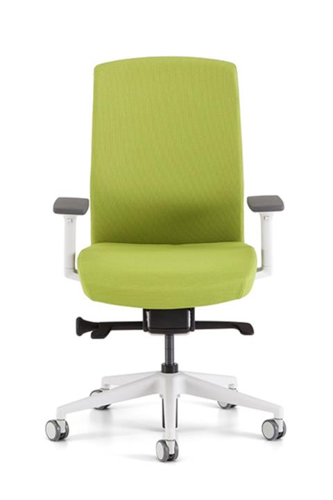Bürotime Tone Çalışma Koltuğu Yeşil