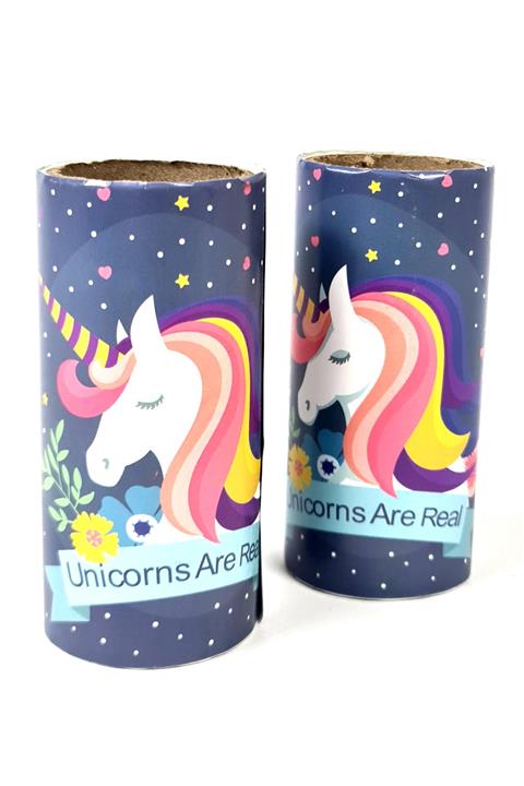 Binbirreyon Tüy Toplayıcı Yedek Rulo Seti 2 Adetli 2x30 Yaprak Da005