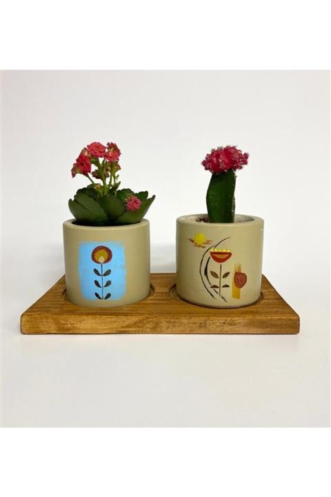 Paradiso Dei Fiori Bej Retro Ikili Silindir Saksı ve Masif Altlık