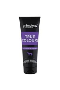 Animology True Colours Renk Koruyucu Köpek Şampuanı 250 Ml